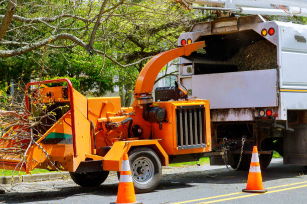 Best Tree Trimming and Pruning  in Squaw Valley, CA